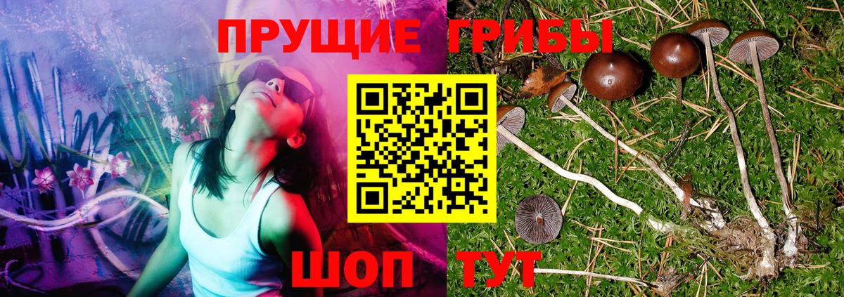 Псилоцибиновые грибы MAGIC MUSHROOMS  Галлюциногенные грибы прущие грибы  Нарьян-Мар  Вход с VPN 