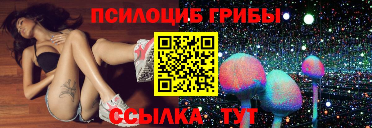Галлюциногенные грибы Psilocybe Нарьян-Мар